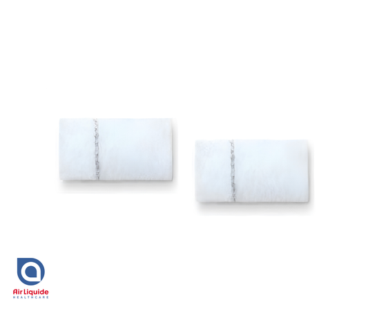 Replacement Air Filter for Fisher & Paykel SleepStyle Pack 2