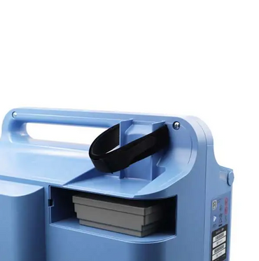 Philips Everflo Inlet Filter