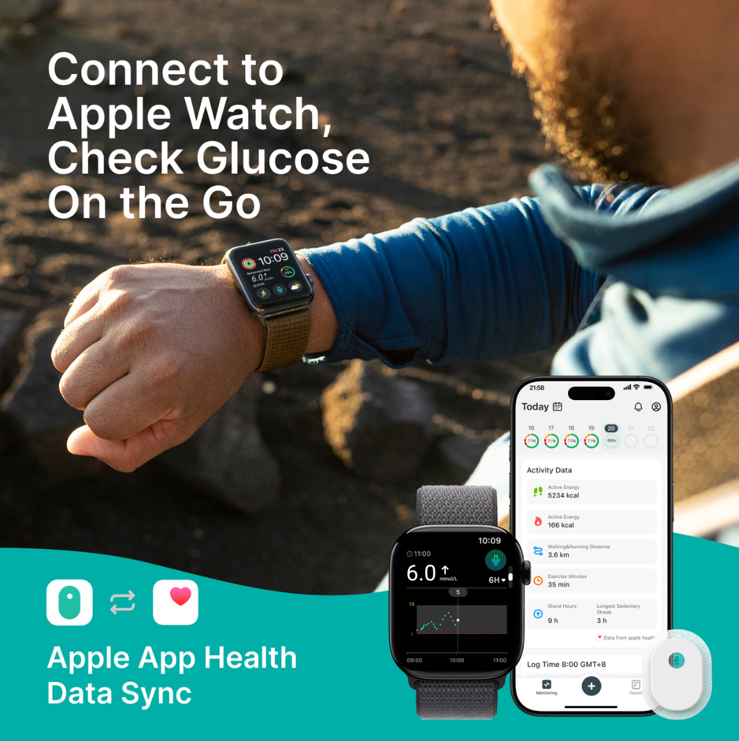 Sibionics GS3 CGM Continuous Glucose Monitoring System